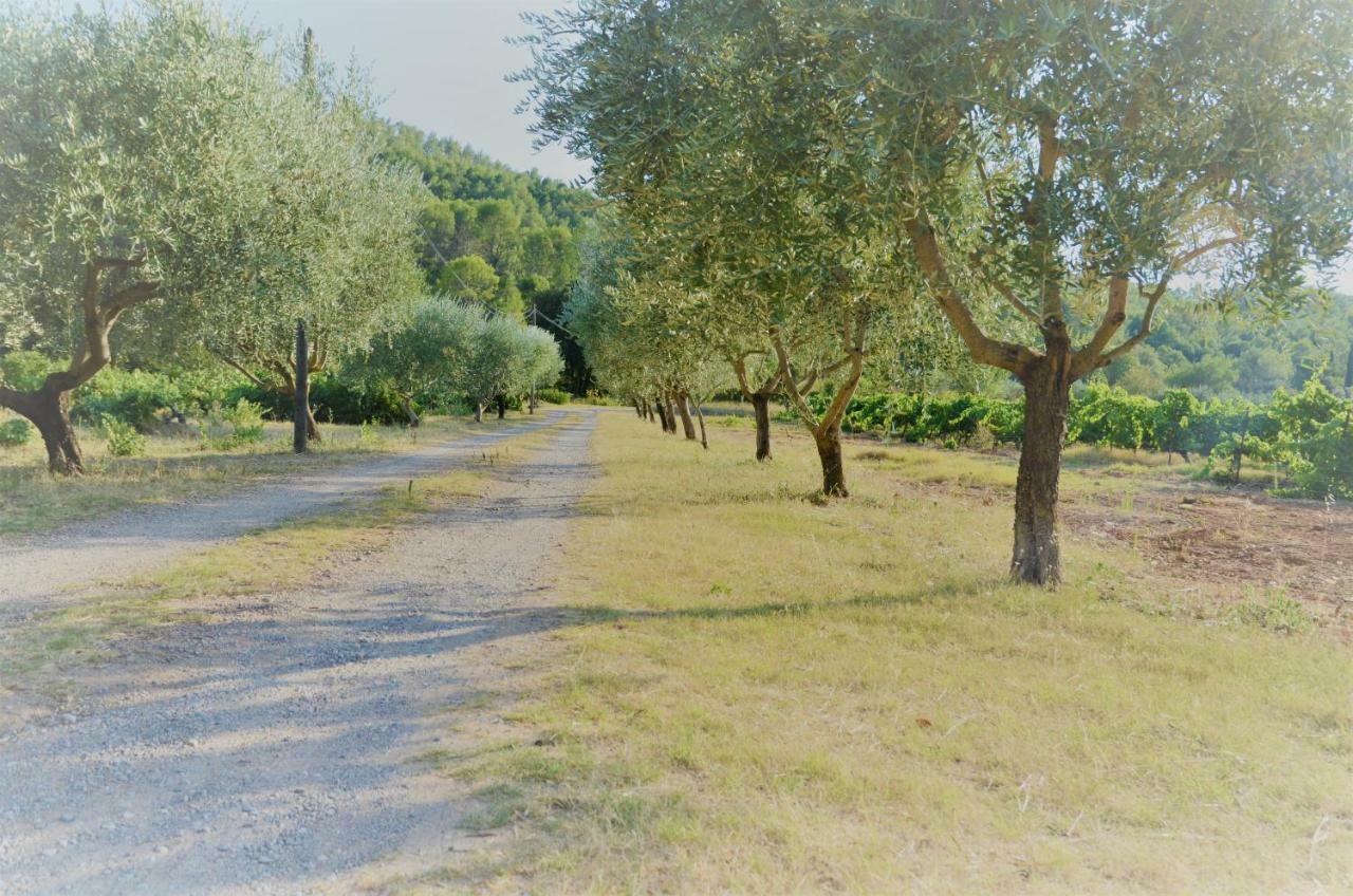 Domaine Hemmitage Appartement Salernes Buitenkant foto